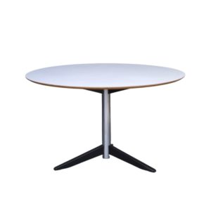 Vintage Te06 Dining Table by Martin Visser for 't Spectrum, 1970s