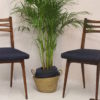 Pair of scandinavian chairs, blue fabric seat, year 60 .
