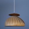 Mid-Century Pendant Light by Hans Agne Jakobsson for Ellysett Markaryd