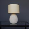 Mid-Century Italian Ceramic Table Lamp by Marcello Fantoni, 1960s