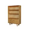 BB03 Bookcase by Cees Braakman for UMS Pastoe, 1950s