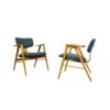 Mid-century Birch armchairs FT14 by Cees Braakman for Pastoe, 1950s