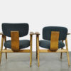 Mid-century Birch armchairs FT14 by Cees Braakman for Pastoe, 1950s