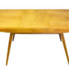 1960's Extendable Mid Century Dining Table by Frantisek Jirak