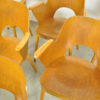 Rare set of beech dining chairs by Oswald Haerdtl (1899-1859) and produced by Ton (Thonet) in former Czech Republic, 1950s