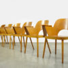 Rare set of beech dining chairs by Oswald Haerdtl (1899-1859) and produced by Ton (Thonet) in former Czech Republic, 1950s