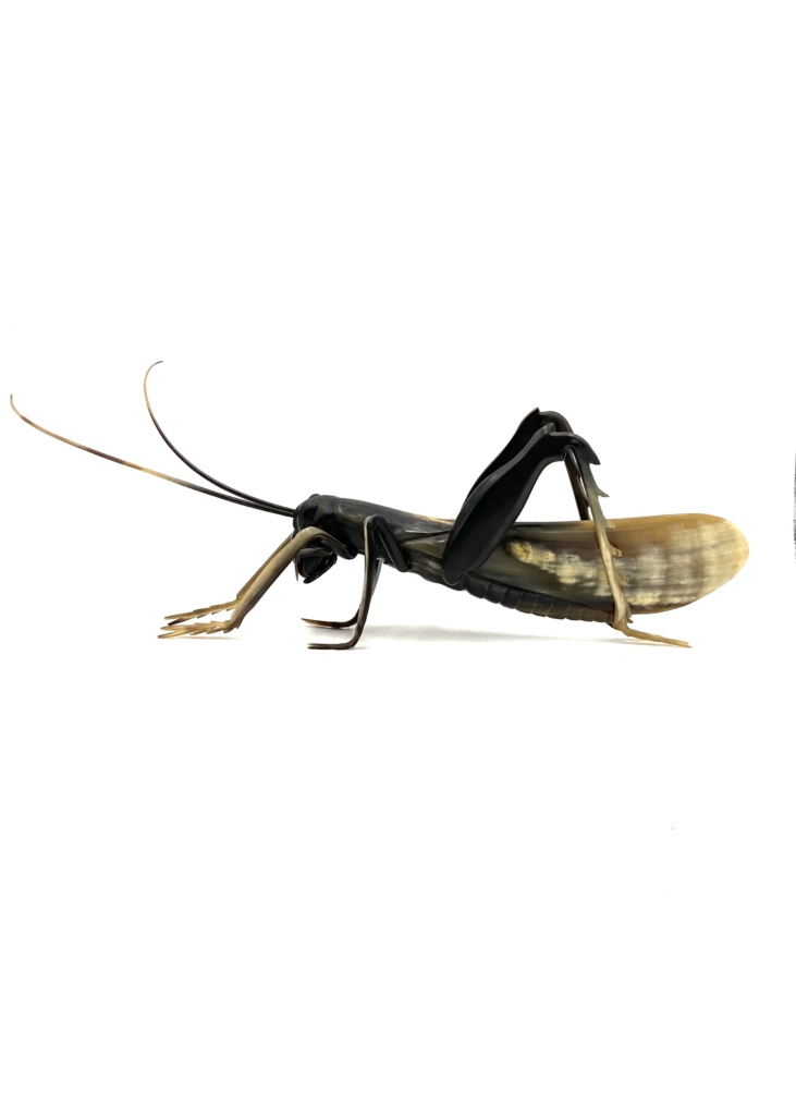 Mid-century hand-crafted horn Grasshopper, France 1960s