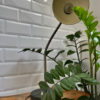 Iconic Bauhaus Desk Lamp by Christian Dell for Kaiser Idell Model 6561. 1st Generation 1930s. Iconic Bauhaus Desk Lamp by Christian Dell for Kaiser Idell Model 6561. 1st Generation 1930s.