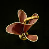 Pink Umbrella Stand with Bamboo Handle and Brass Base, 1950s