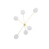 Effervescence Celeste Collection