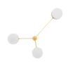 Syzygy Celeste Collection Syzygy Celeste Collection