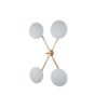 Butterfly Stella Collection Butterfly Stella Collection