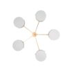 Luminescence Celeste Collection Luminescence Celeste Collection
