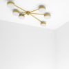 Effervescence Celeste Collection