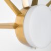 Dawn Solare Collection Dawn Solare Collection