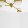 Incandescence Celeste Collection