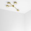 Incandescence Celeste Collection