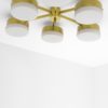 Phosphenes Celeste Collection