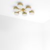 Phosphenes Celeste Collection