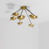 Septem II Helios Collection Septem II Helios Collection