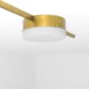 Solitudine Celeste Collection