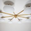Canopy Stella Collection