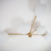 Fan Stella Collection Fan Stella Collection
