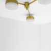 Syzygy Celeste Collection Syzygy Celeste Collection