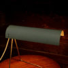Adjustable Lamp in Mid Century Modern Design