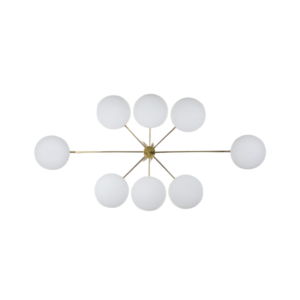 Evening Stella Collection