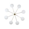 Canopy Stella Collection