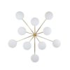 Cosmos Stella Collection