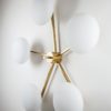 Daisy Stella Collection Daisy Stella Collection