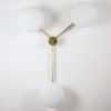 Triennale Stella Collection Triennale Stella Collection