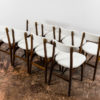 Set of 8 dining chairs by Rajmund Teofil Hałas 1960's