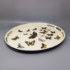 1970s Astonishing Oval Metal Tray By Piero Fornasetti. Made in Italy