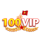 100vipdesign