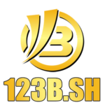 123b cfd
