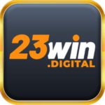 23windigital