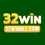 32windllcom