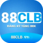 88CLB tax