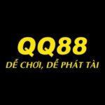 88qqicom