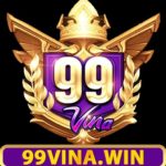 99vinawin