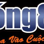 Bong88