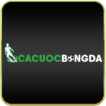 cá cược bóng đá