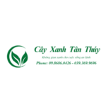 Cây xanh Tân Thúy