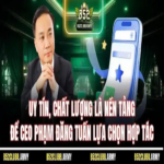 ceophamdangtuan