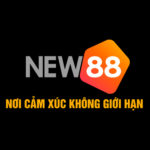 New 88