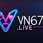 VN 678