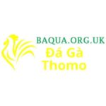 Đá Gà Trực Tiếp Thomo